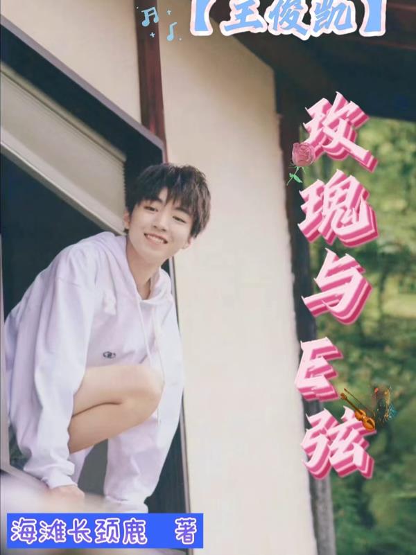 【王俊凯】玫瑰与E弦