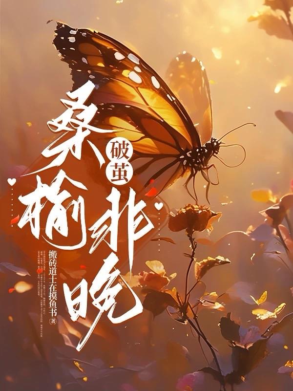 破茧，桑榆非晚